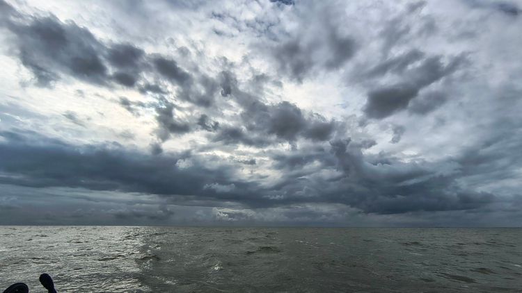 Voyage photo from Markermeer to markerwadden