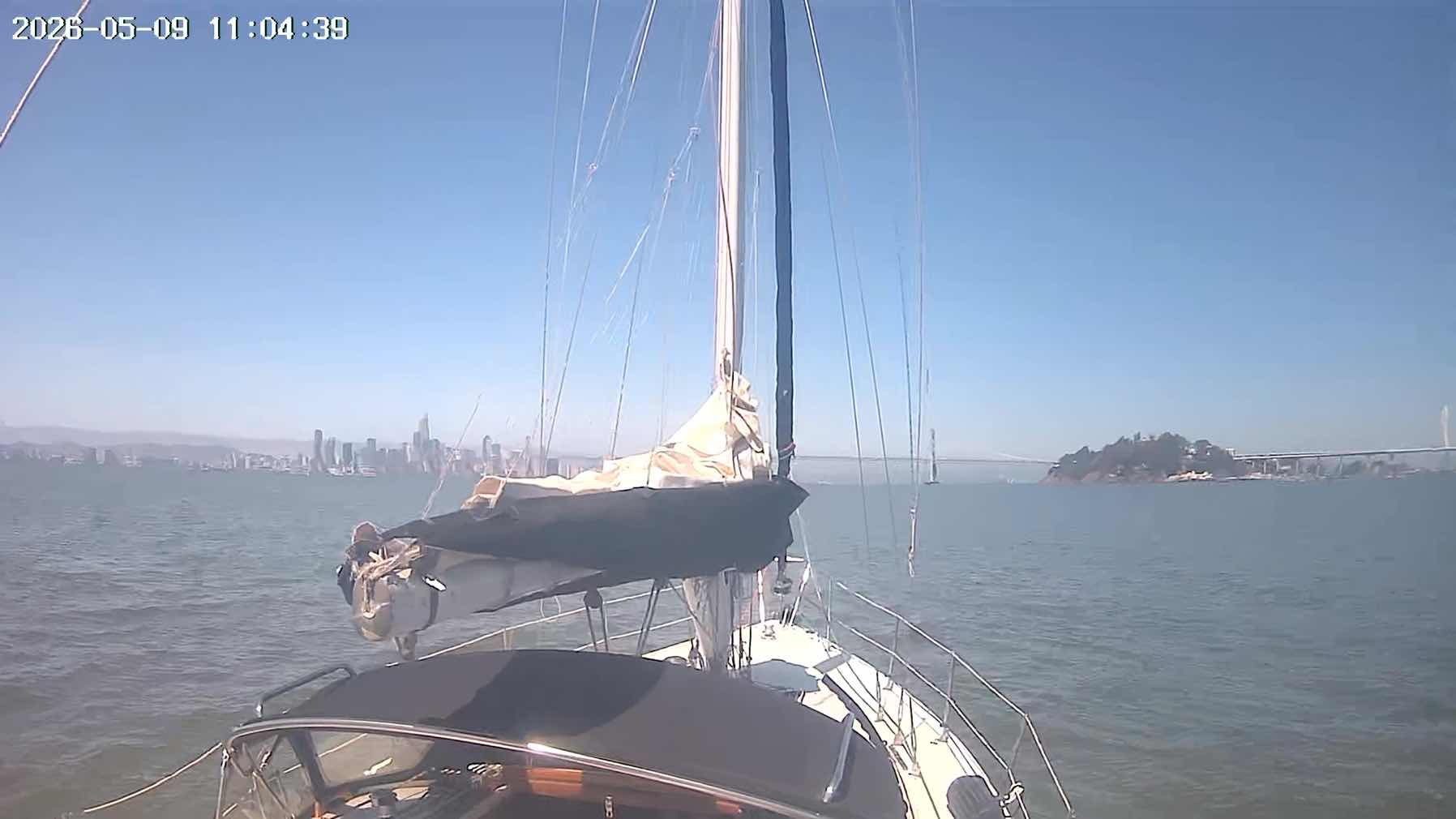 Saturday in the Bay_19FB41F2-BAF4-48CB-B97D-5CAAF3517A3B