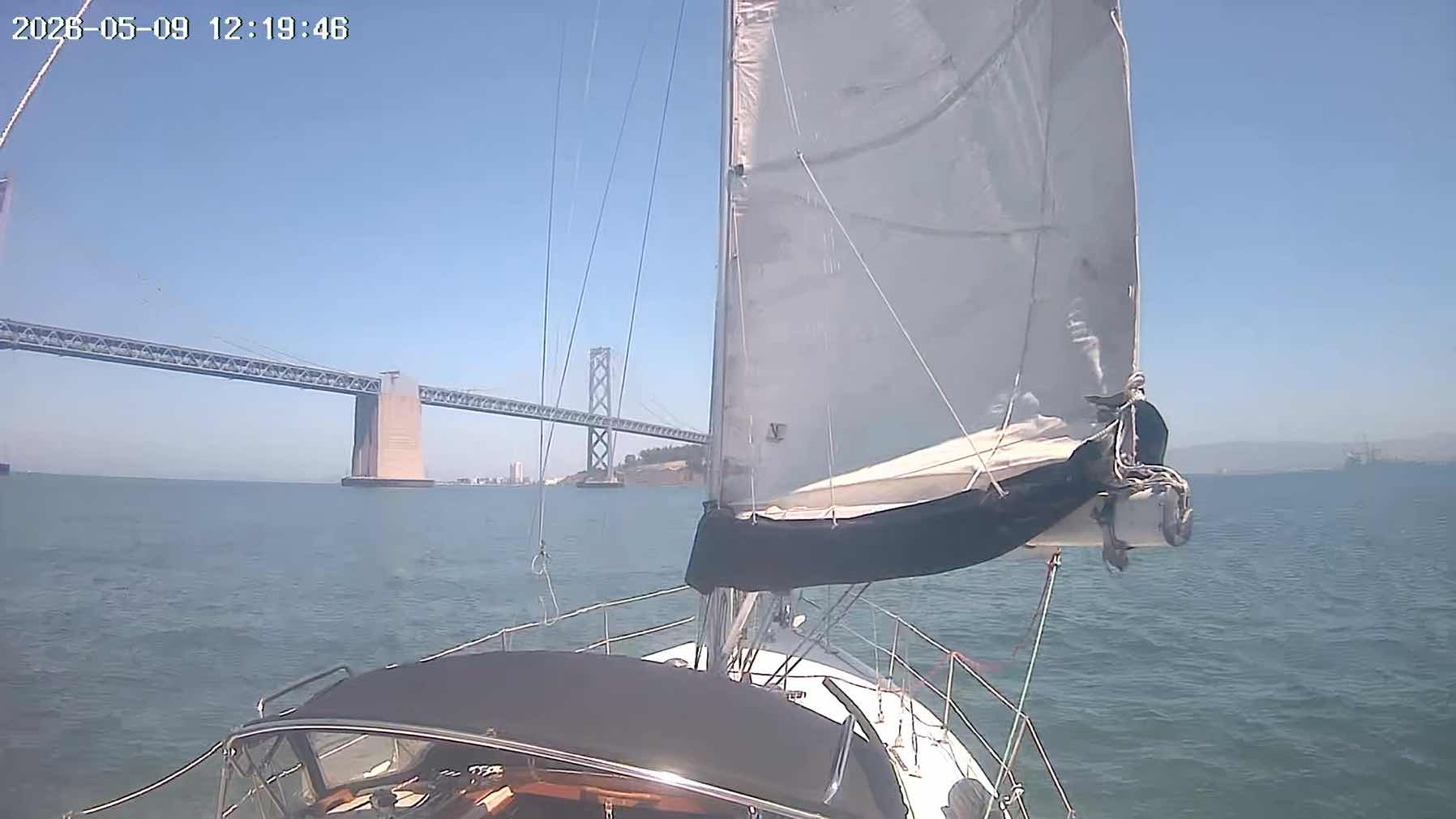 Saturday in the Bay_9B12A0E5-518B-4ACF-B937-1B0342EE5D2F