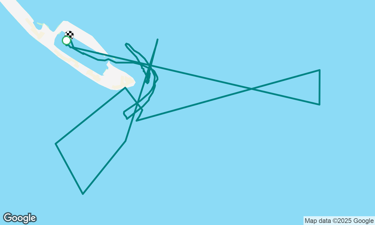 Homer Yacht Club Regatta