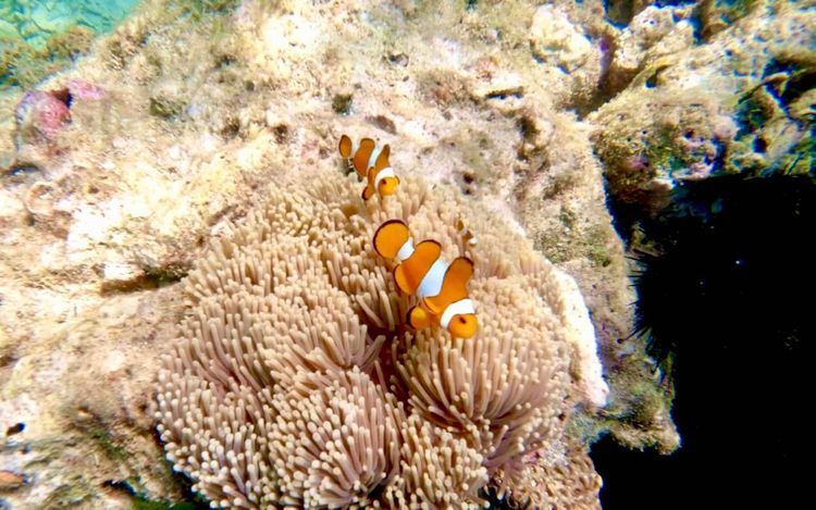 Voyage photo from Phuket trip day 6