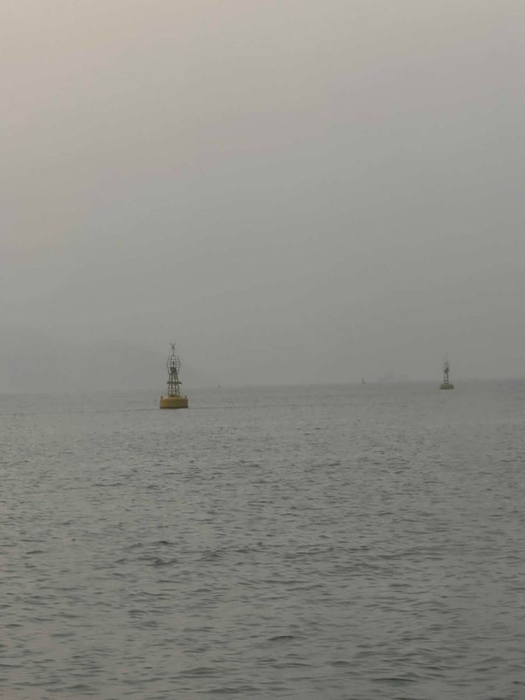 Voyage photo from Tai O 大涌