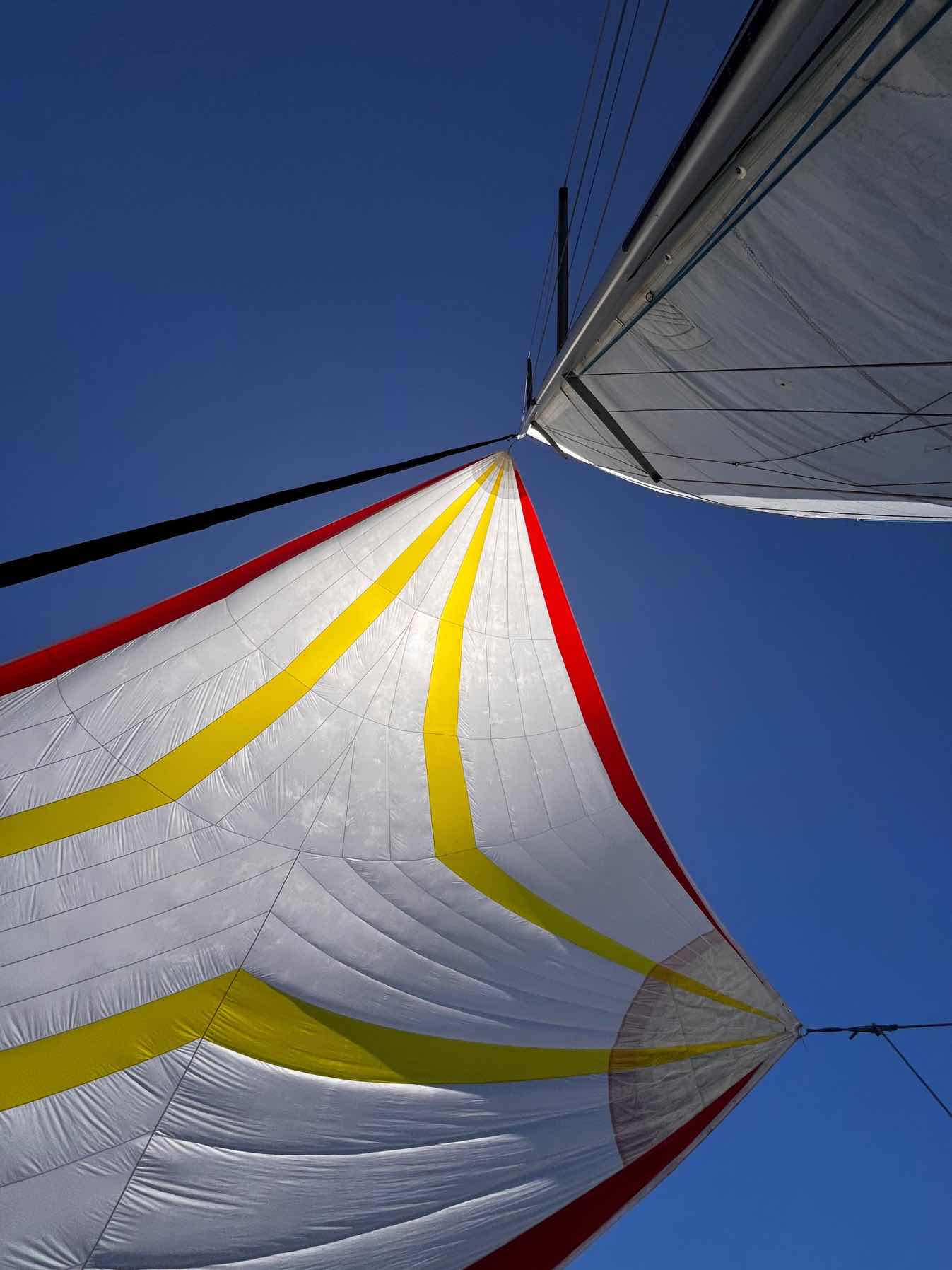Giorno 3 corso Scuola Italia in Vela_FC432EA2-1C60-44FA-ACCD-347BA94FB7D6