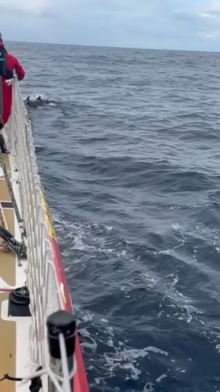 Clipper Round the World Yacht Race 25/26_17F1EEB5-6C19-4825-A88E-CEEB162A7F13