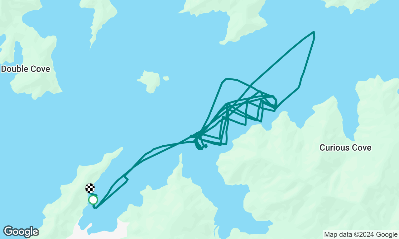 Waikawa women’s regatta - day 2