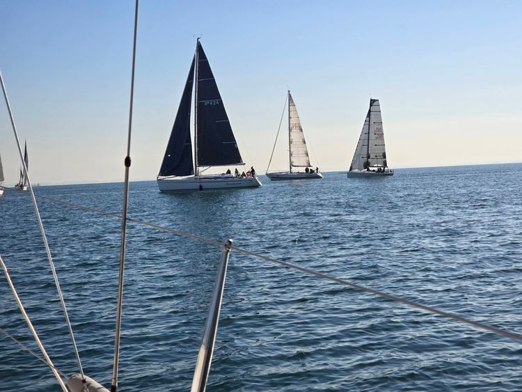 Voyage photo from Wednesday Wonders course 12 shortened. 
