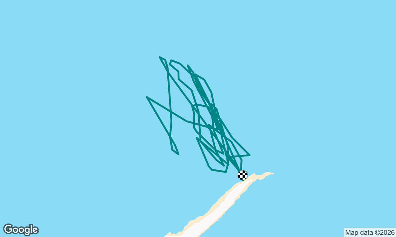 Maldives Topcat