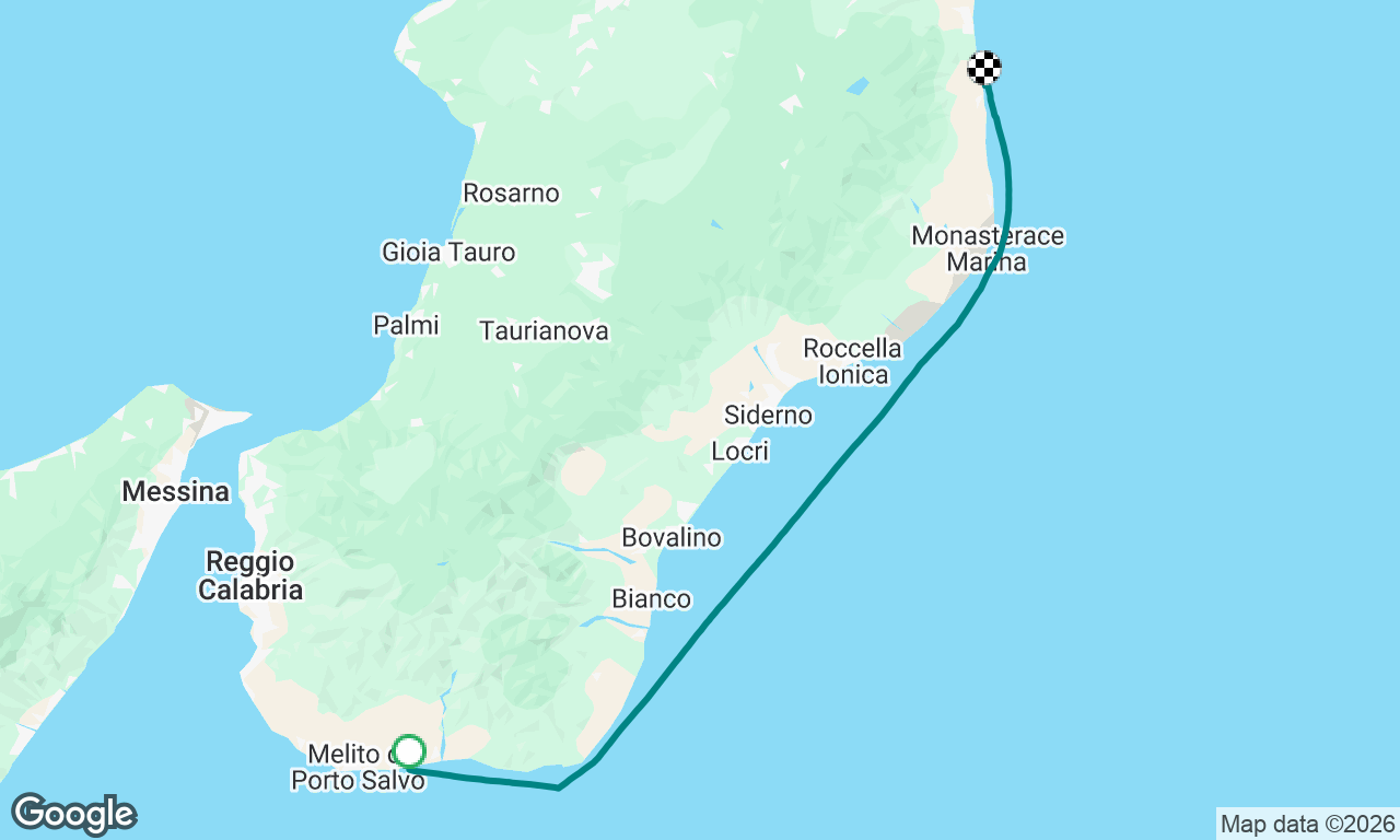 Run with Risso dolphins