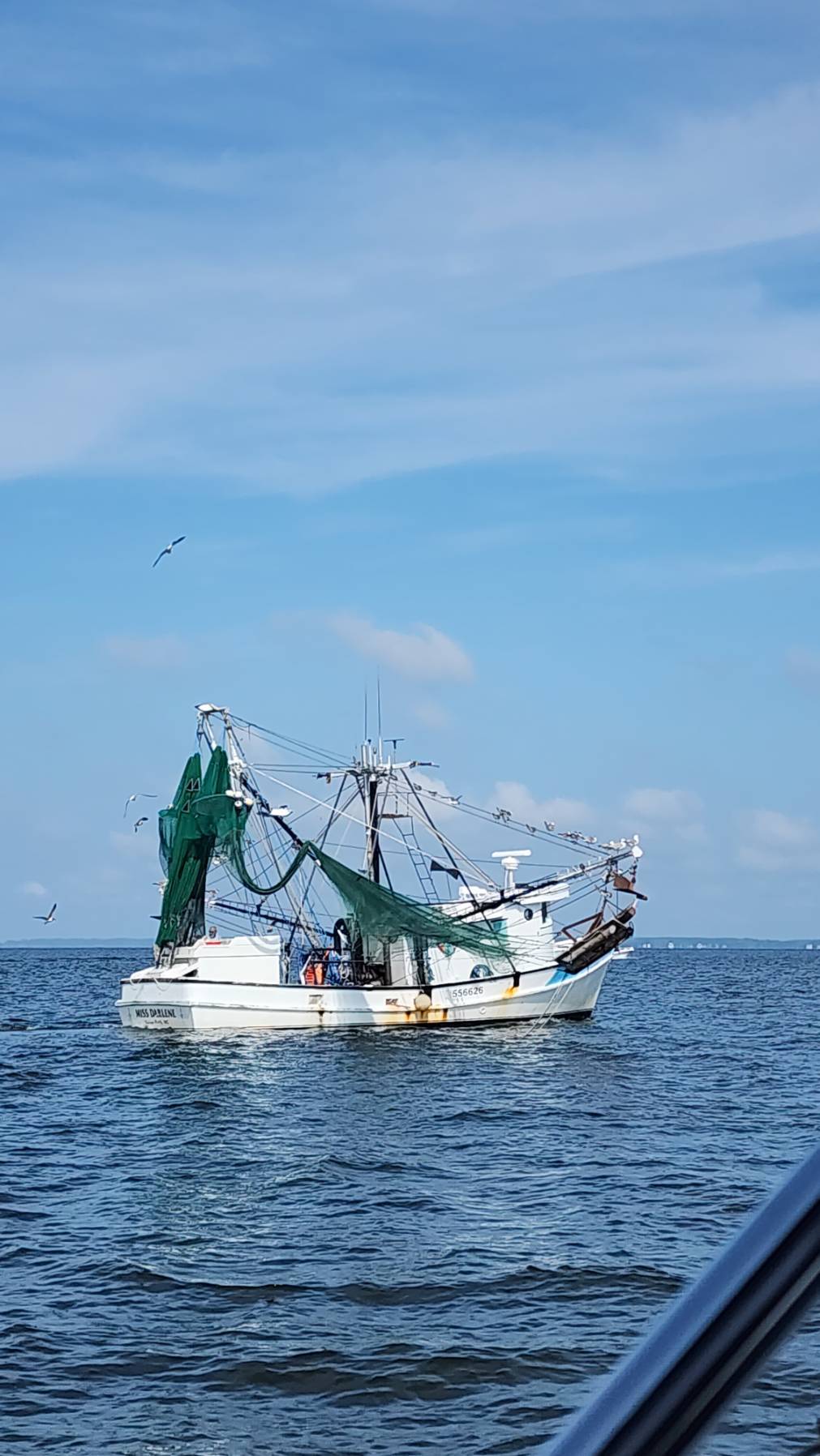 Cruise North - Day 22 - Merrimon to Belhaven SC_37A1D4D7-1114-416B-83D3-BA9BBDA6F212