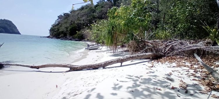 Voyage photo from 🇲🇾 Pulau Tepor to Pentai Intan Besar