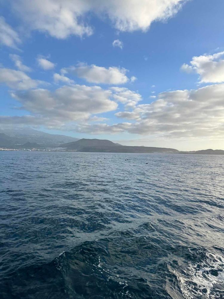 Voyage photo from Teneryfa - La Palma 