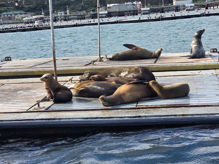 Voyage photo from sp5 with JJ on 663