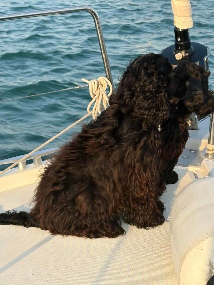 Voyage photo from East Head, Chichester to Sovereign Harbour, Eastbourne