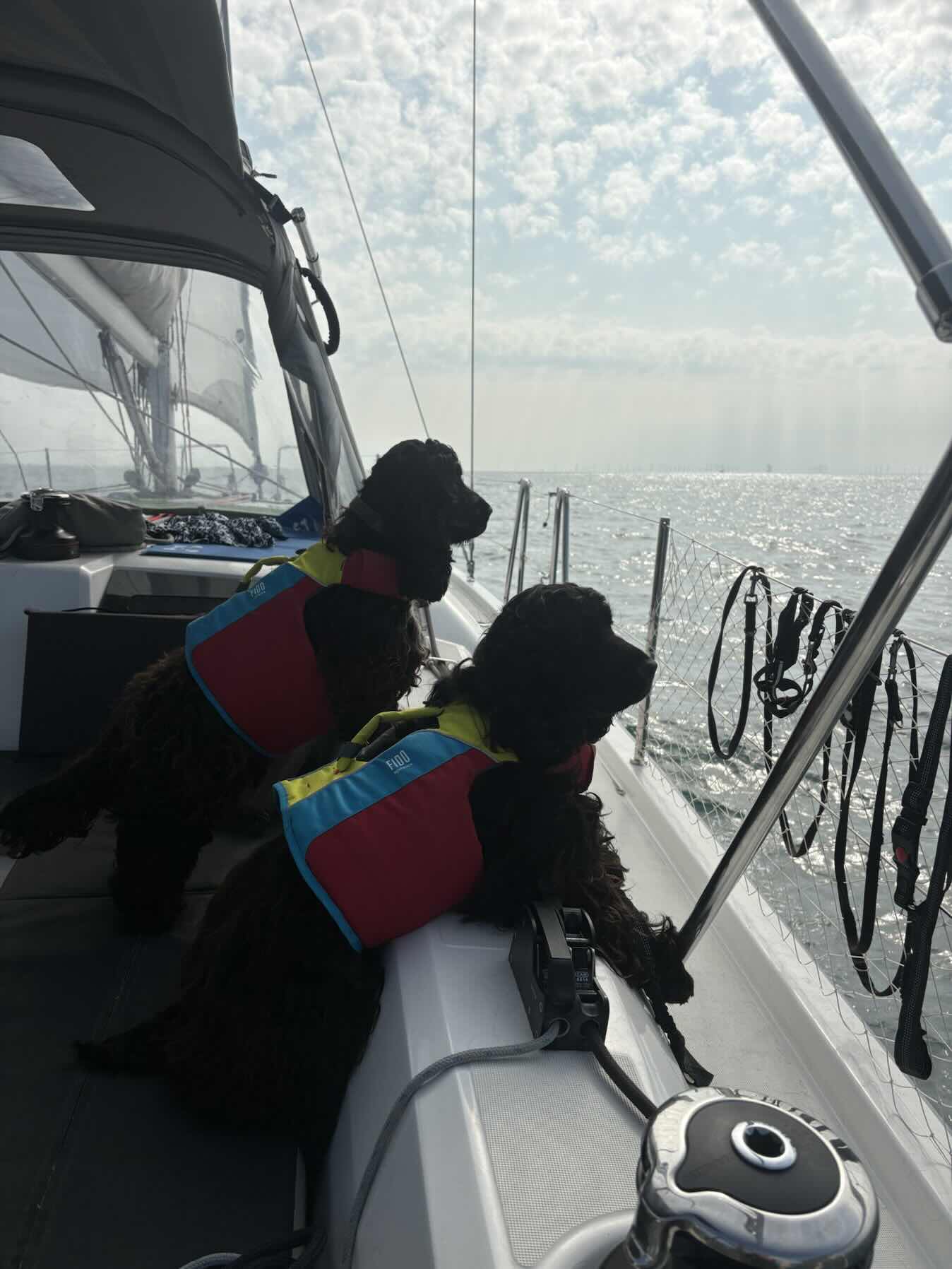 East Head, Chichester to Sovereign Harbour, Eastbourne_EB9BDFEE-EEEE-48F5-877C-35A2A17FF37A