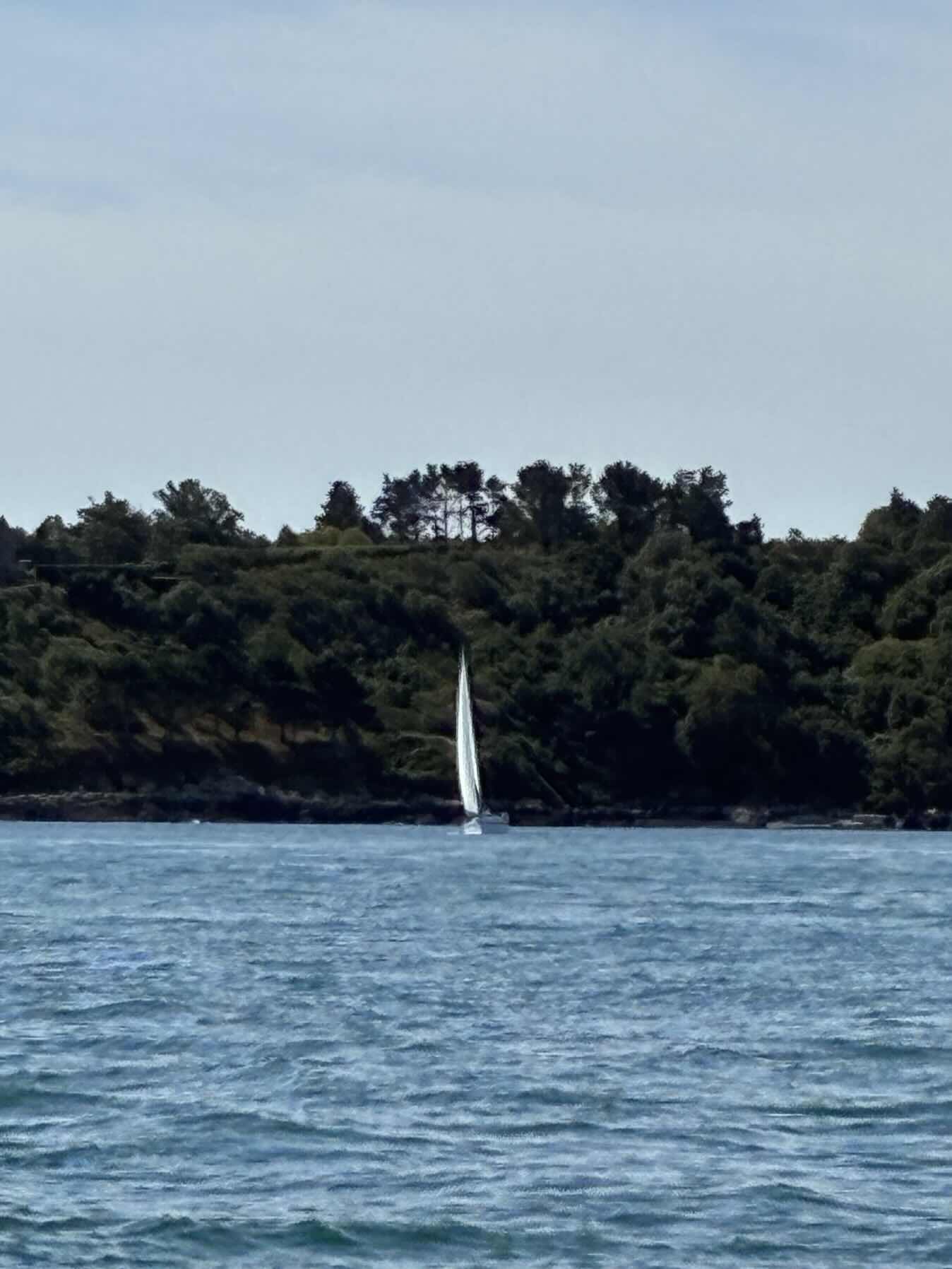CITCO Round Island Race_0510AAD8-6E6C-495A-AF0A-49637478A3C9