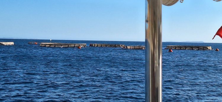 Voyage photo from Borsch to Palermo Castle