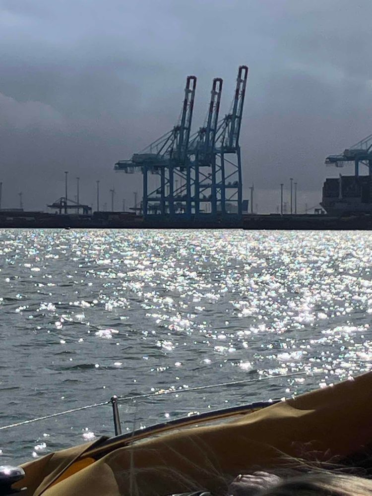 Voyage photo from Elite - Autumn Breeze Day 6 Breskens to Zeebrugge (passport control)