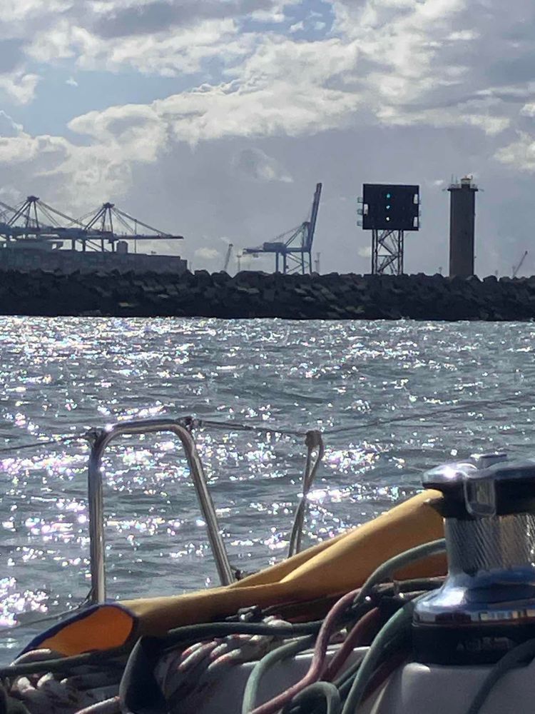 Voyage photo from Elite - Autumn Breeze Day 6 Breskens to Zeebrugge (passport control)