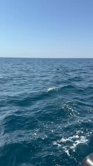 Sark to Carteret_EE42AB84-AC0A-453C-AFF7-C3B50B02FE1D