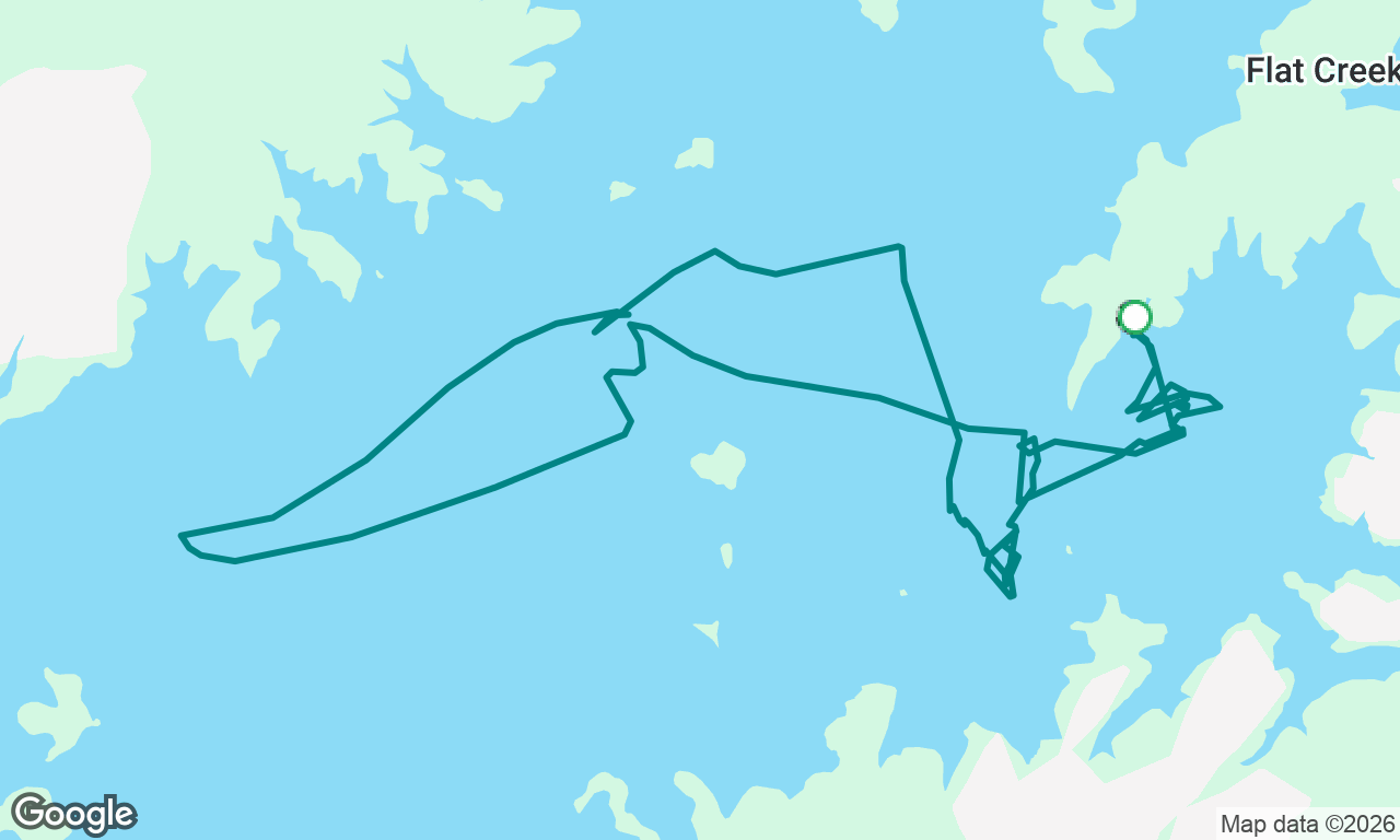 Lanier Asa 103