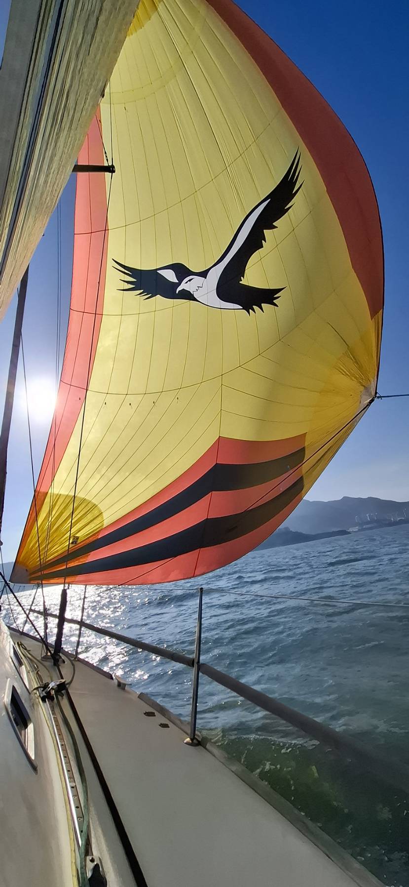 COA Around Lamma race HK_1376FD80-F564-48F0-B2E7-CF709410A893