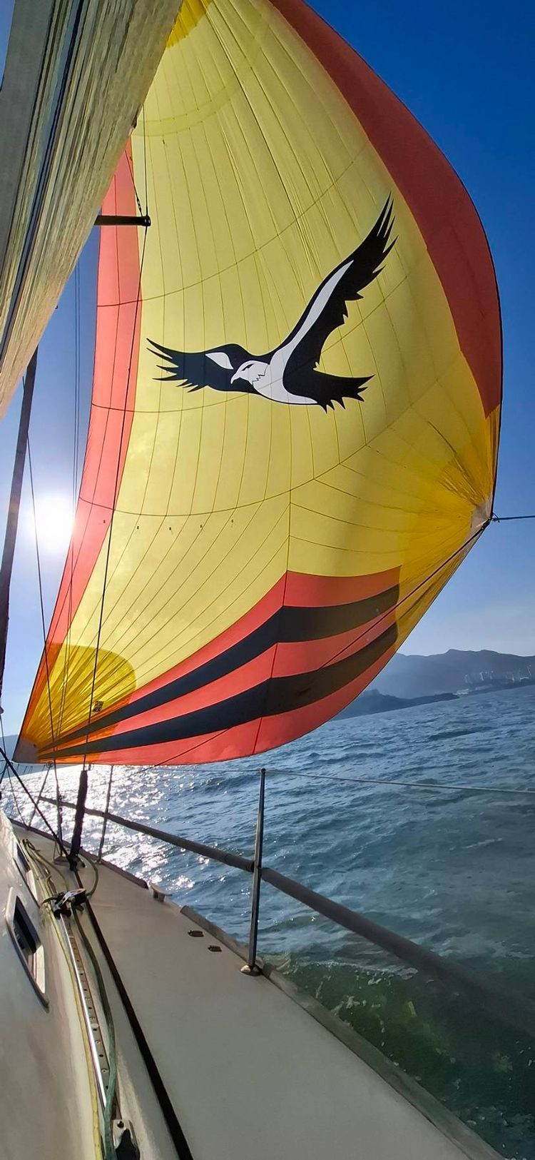 Voyage photo from COA Around Lamma race HK