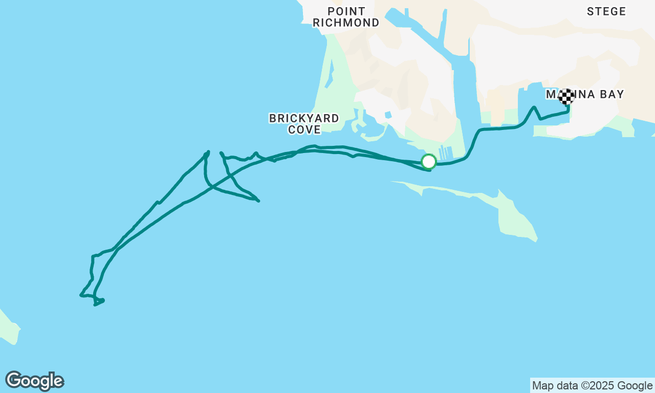 Sunset sail and whale watching