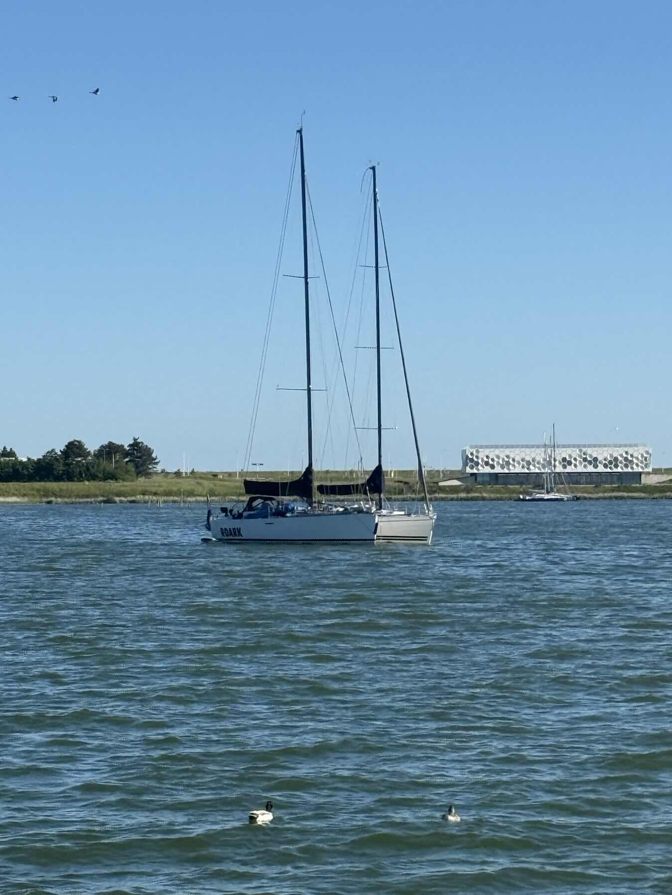 HL-005-26 - Harlingen nach Stavoren_74E5DBD2-A7D8-4A80-AD8A-AFEA5C96E680