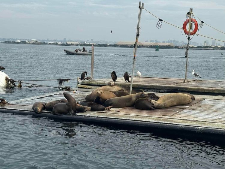 Voyage photo from Sp5 with JJ on 631