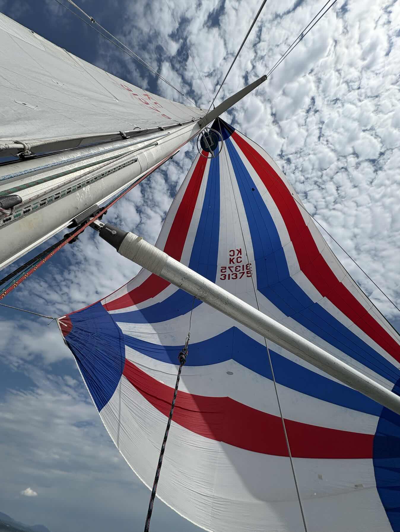 Voile performance 3-cours 2_314D2DDC-30A3-4954-9196-5A9F7210751C