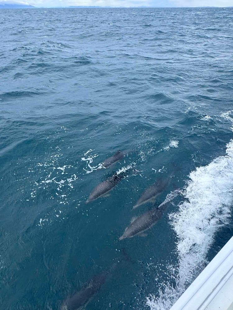 Voyage photo from Delivery Auckland-Mackay-Darwin