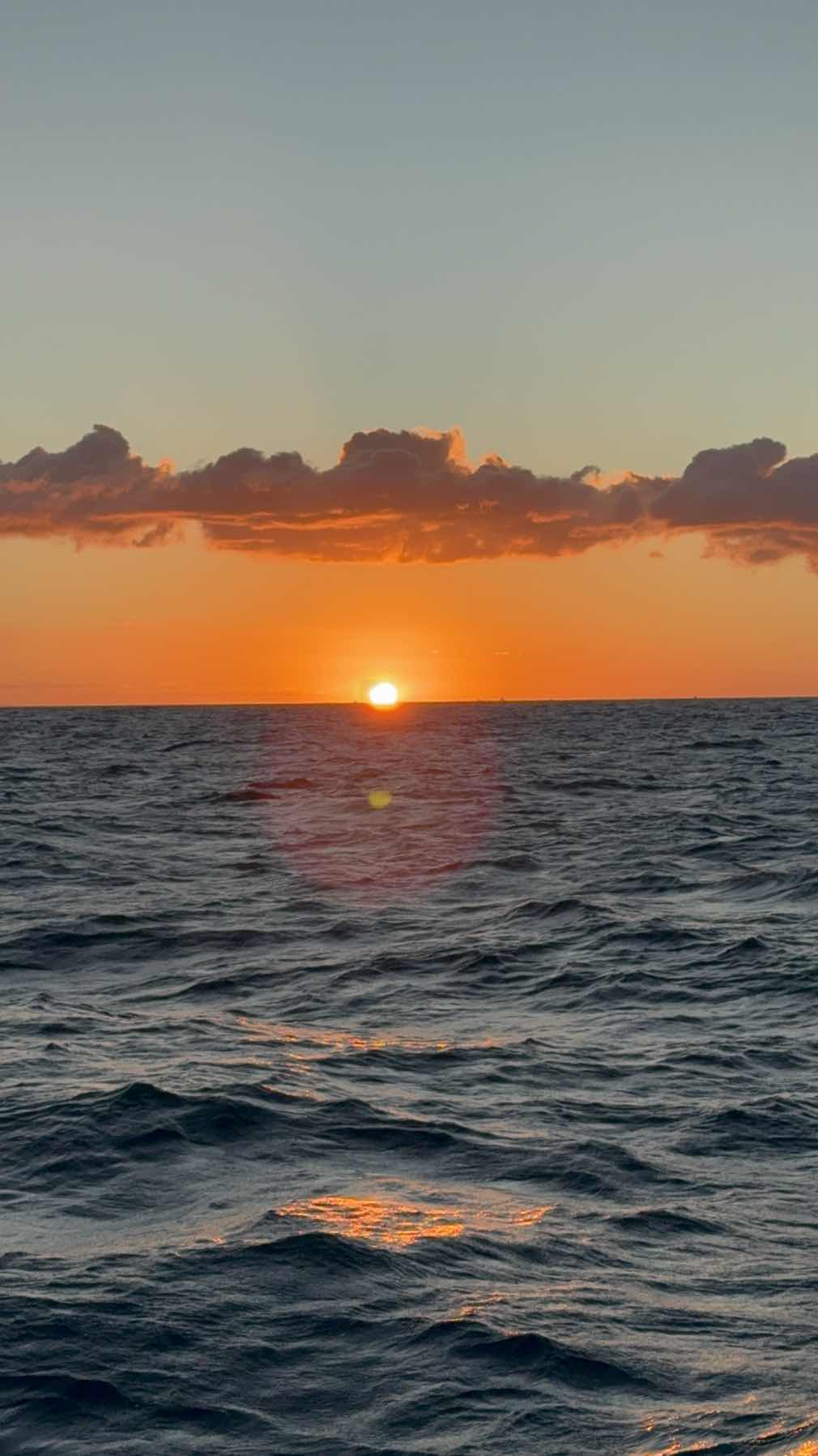 Delivery Auckland-Mackay-Darwin_7256831B-FE24-4AA9-9DDF-7A9BE71D1D40