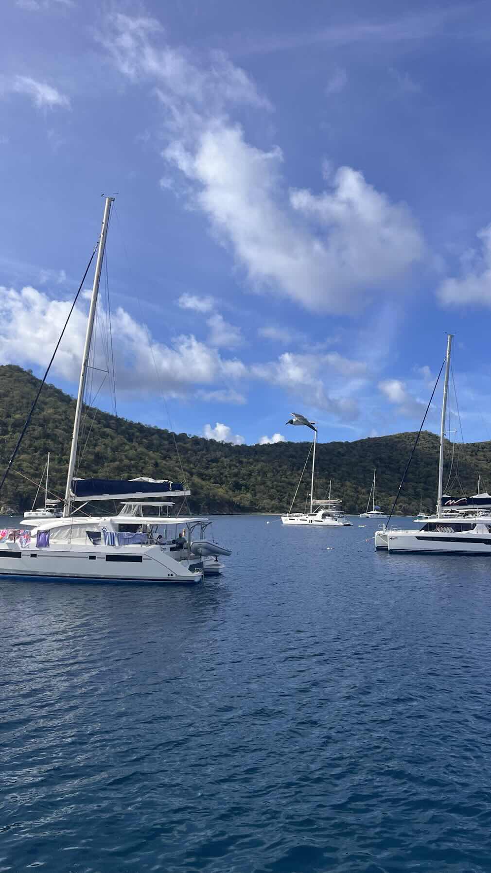 Norman Island > Tortola_5B50070A-EBC7-4ACA-9AC8-FA78527DBEFC