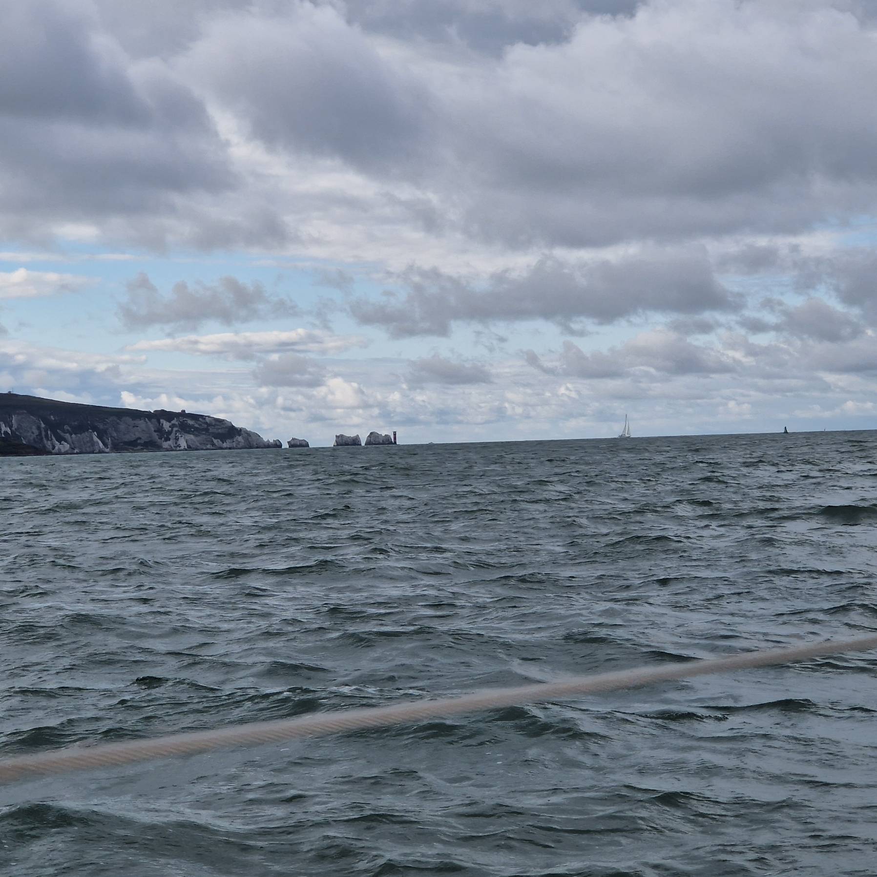 Solent Oak_B711F8AA-1F84-42F5-BE18-C467E4C7D264
