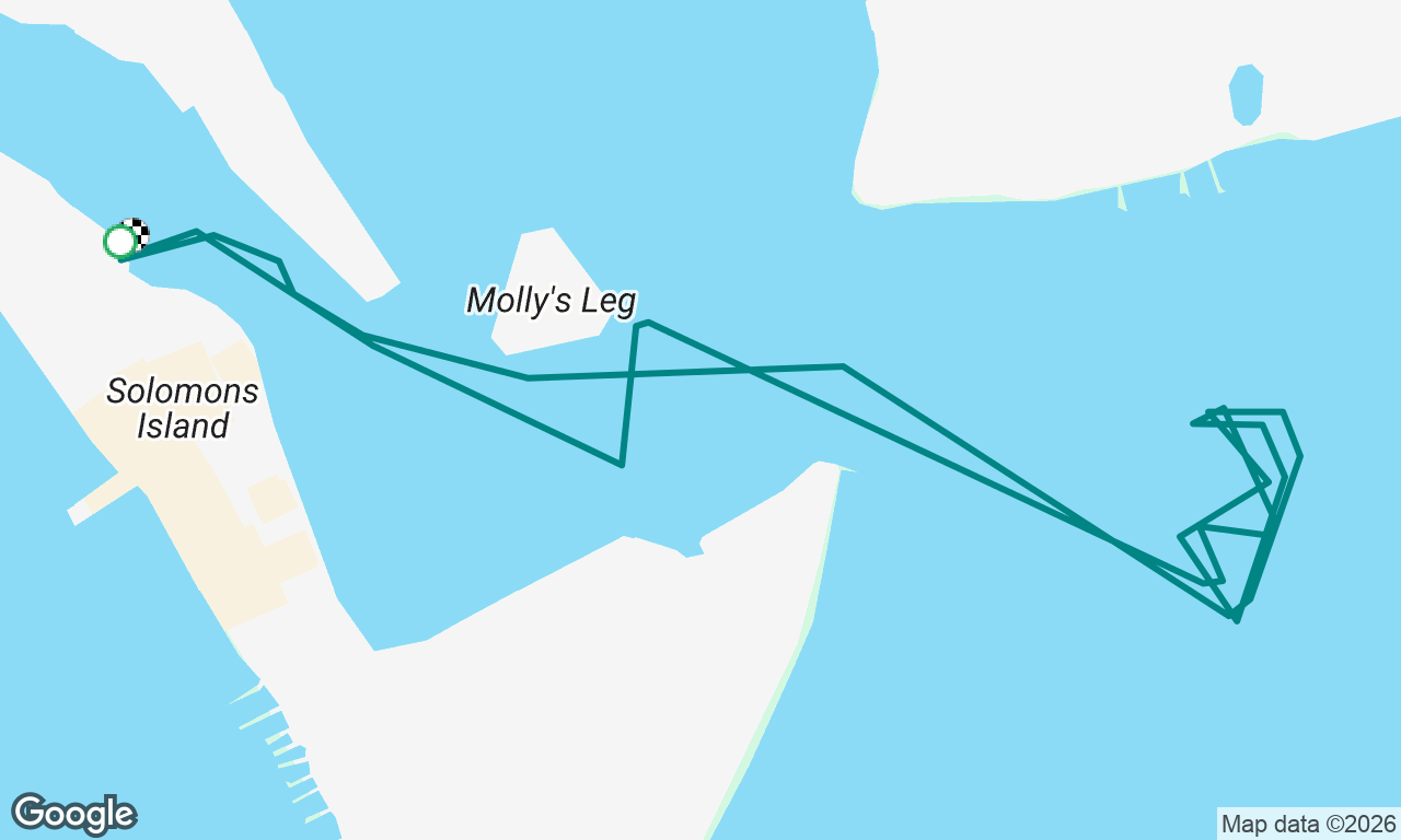 Friday short Laser sail