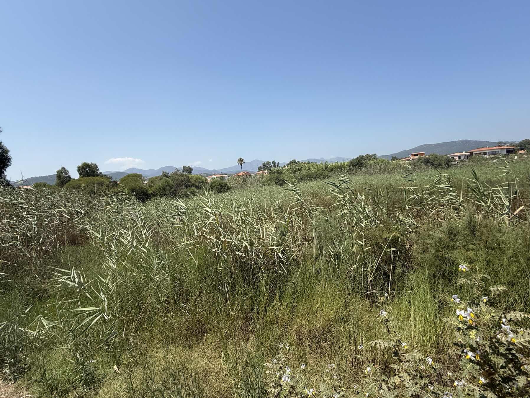 East coast of Sardinia _A9864D78-296C-4B34-8061-366EBC8752F0
