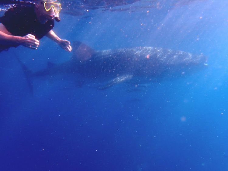 Voyage photo from extramile.org.za Seychelles 2025