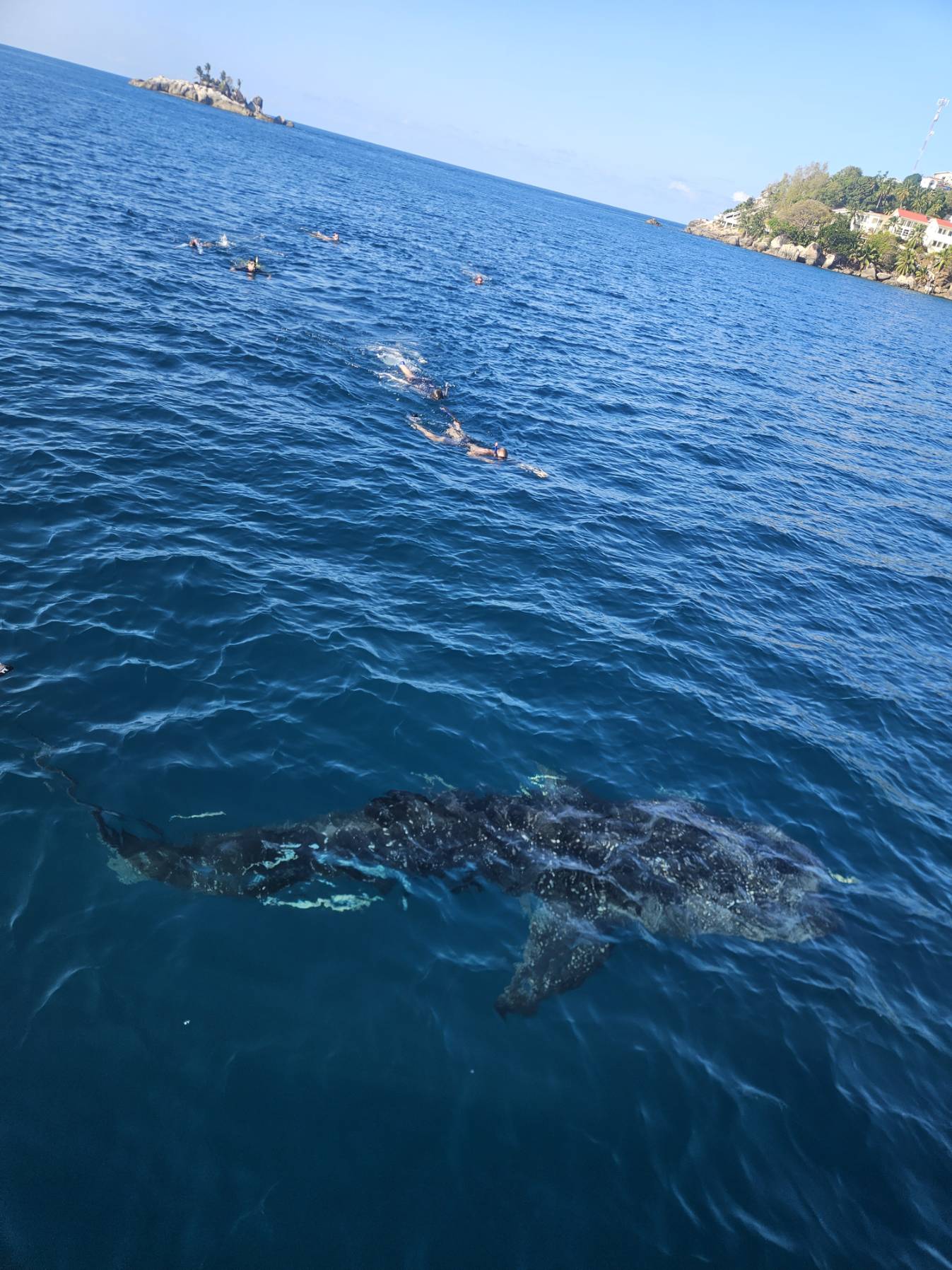 extramile.org.za Seychelles 2025_8FED8526-E934-4204-A71F-CAA074D424F8