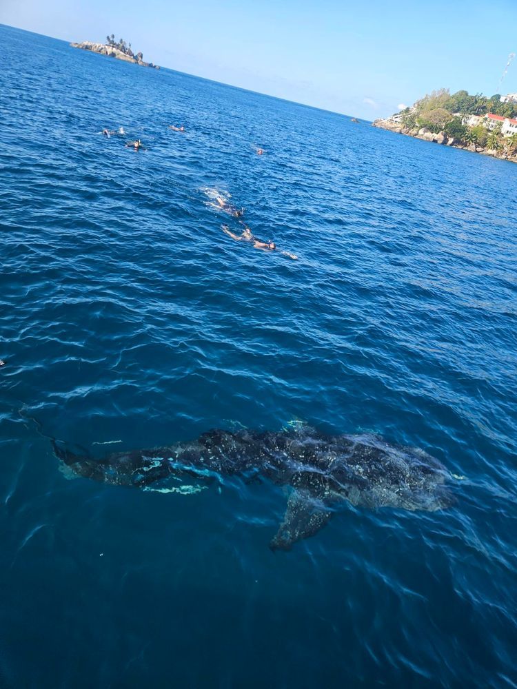 Voyage photo from extramile.org.za Seychelles 2025