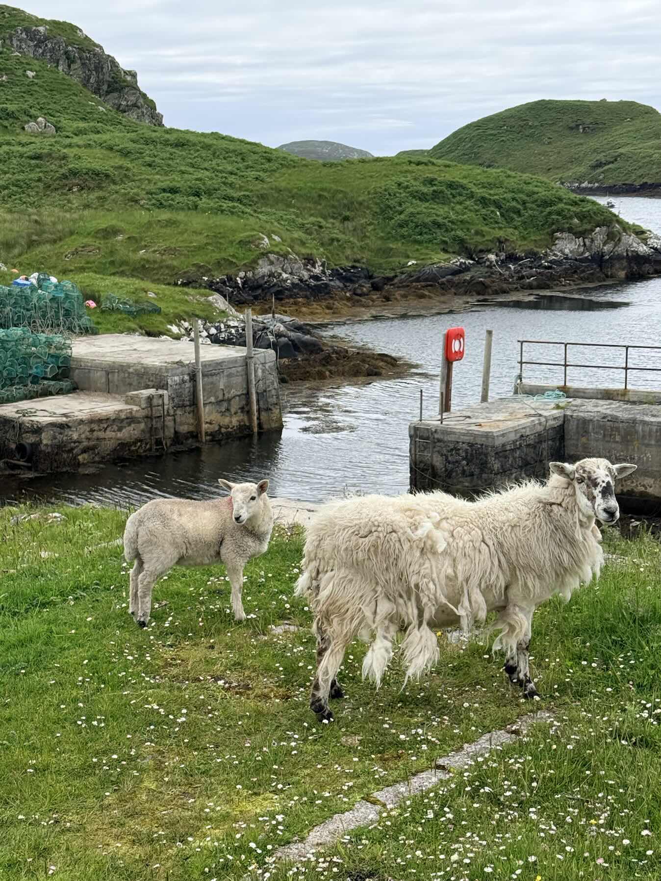 Scalpay to the Shaint Isles _569CC0D9-7D63-4EC2-B90C-76D91108055E