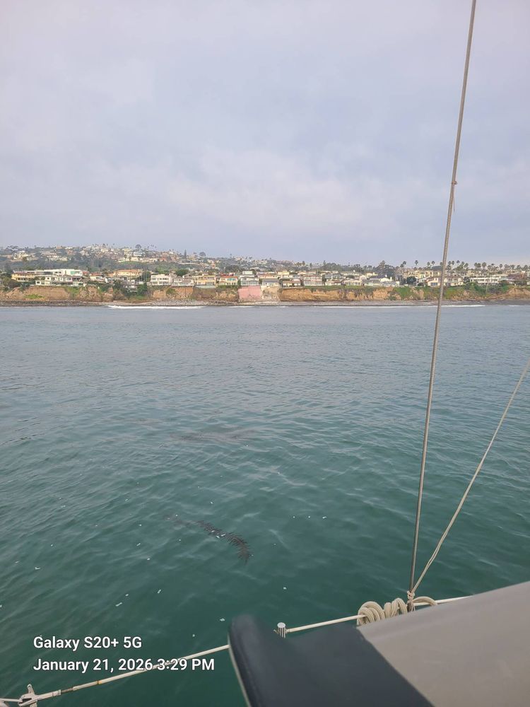 Voyage photo from Return from Oceanside