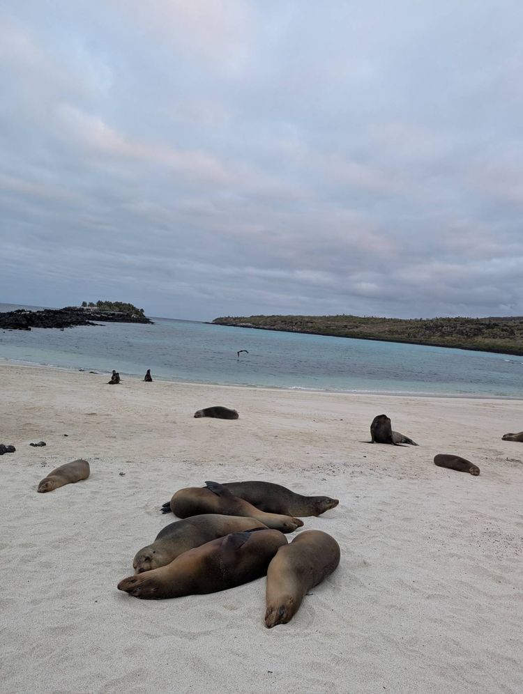 Voyage photo from Hike Sante Fe Galapagos 6Jul25