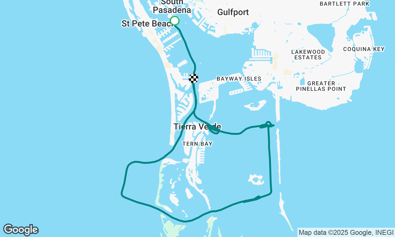 St pete dolphin hunt