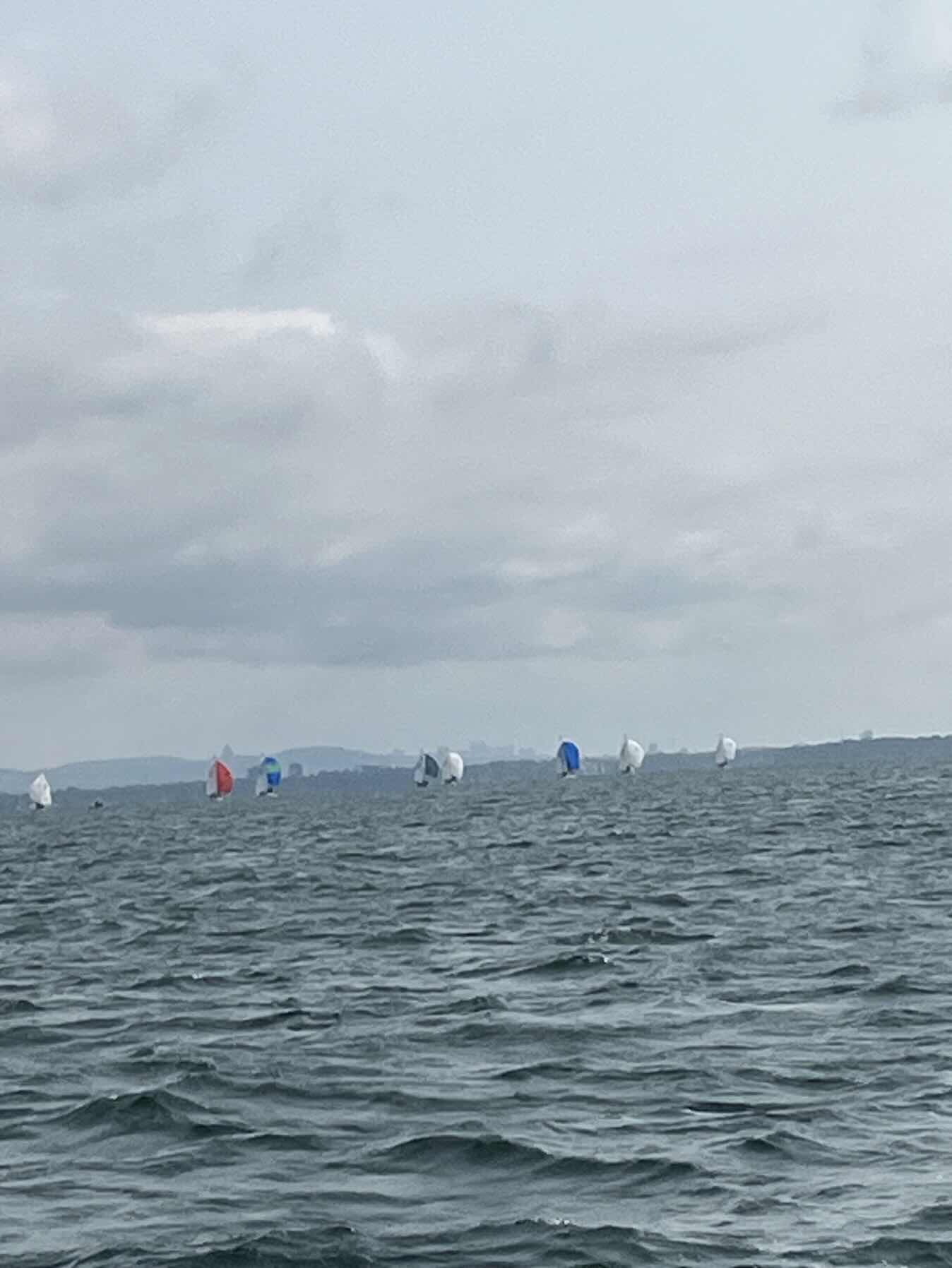 Swen voile_B67CB642-A18A-4D1E-9F00-0A5694BDA50B