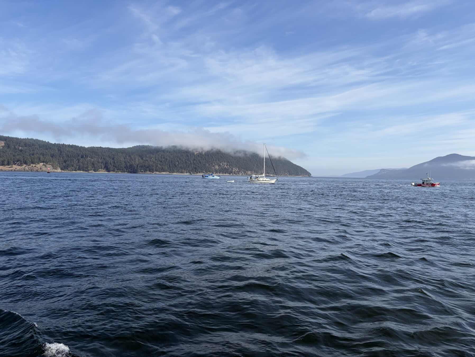 San Juan Islands (Day 5)_0DF2A34F-3BF0-4969-BCCE-9A0466DEF8A4