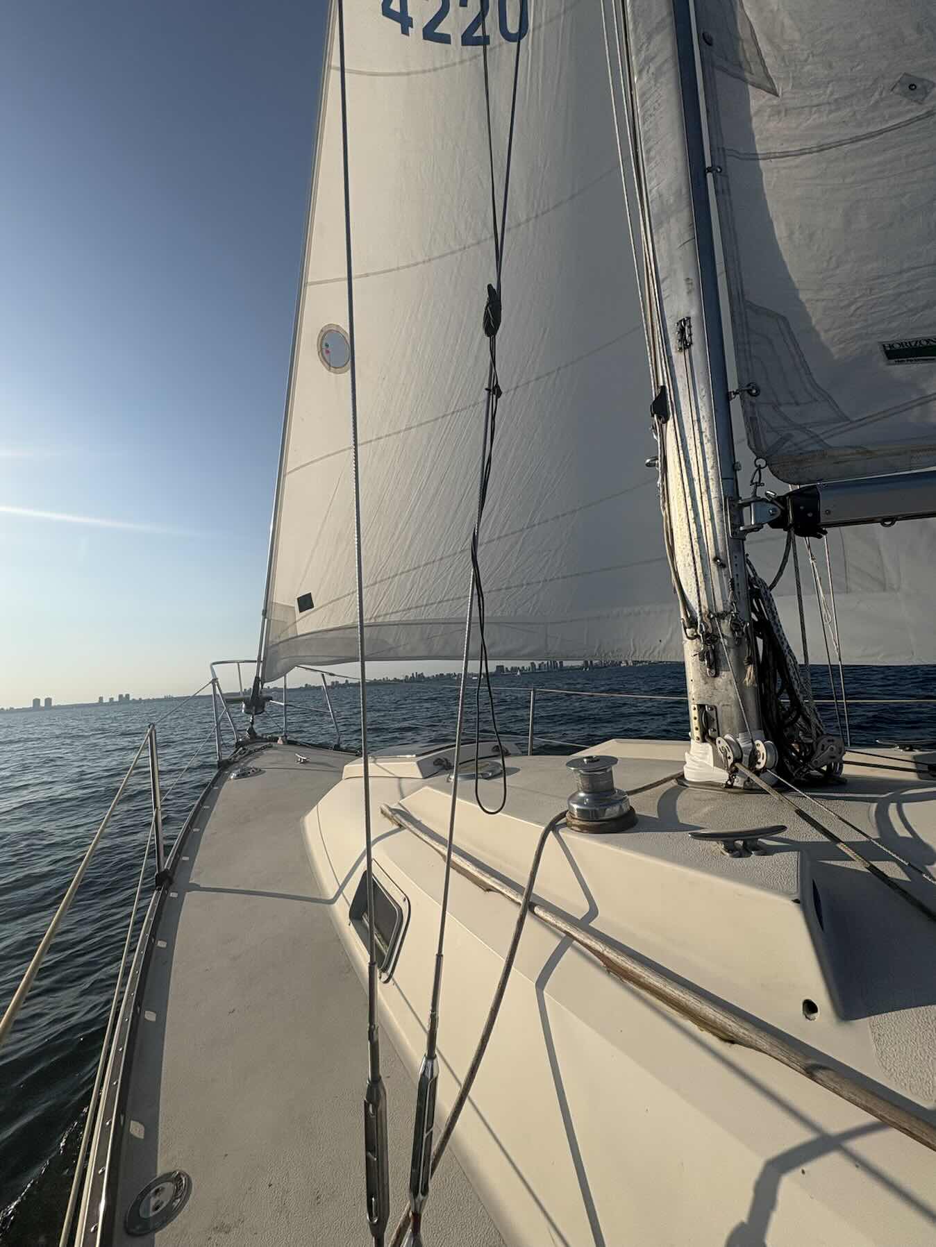 Peregrine sailing _6ABD3A19-9155-4802-9CC3-FC7C17385E27