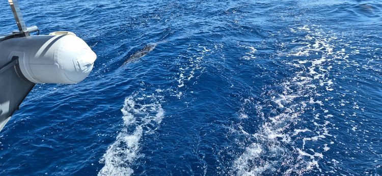 Voyage photo from Barbate 🇪🇸 to Azohia 🇪🇸