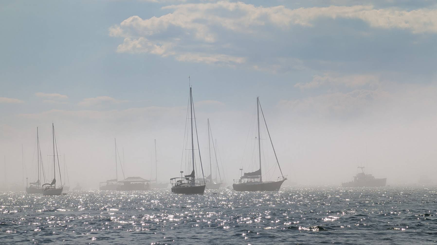 Fog_799B35C1-8E10-41CB-81A6-E7A3DF161063