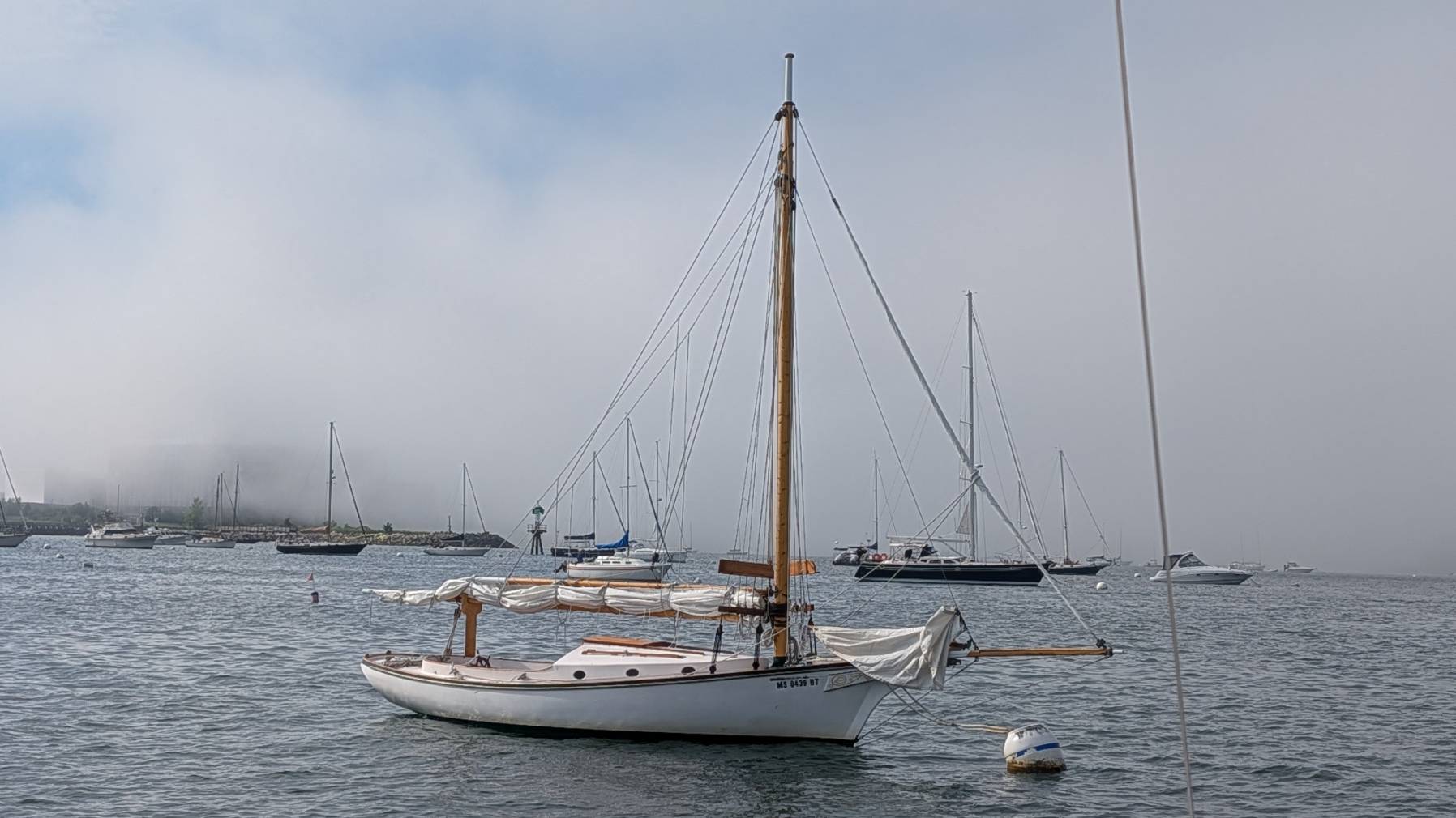 Fog_A3B59EFE-DD3C-4EC6-BDFA-0E604D10E072