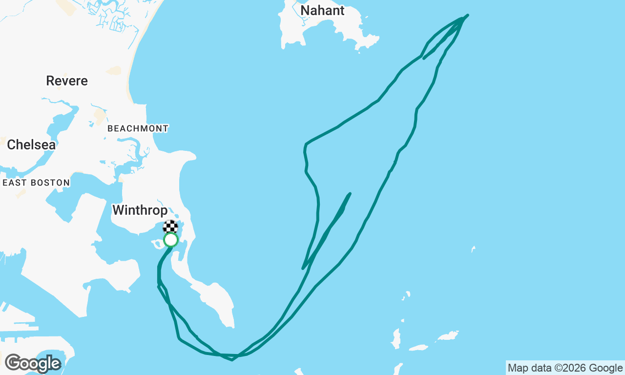 Looking at Tallships: Jill, Tom, & Barry. Fri 7/10